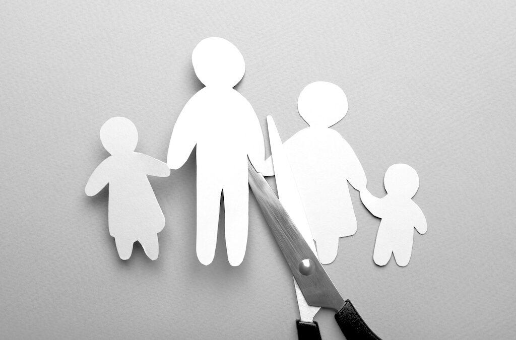 Heimat bist du antifeministischer Väter?